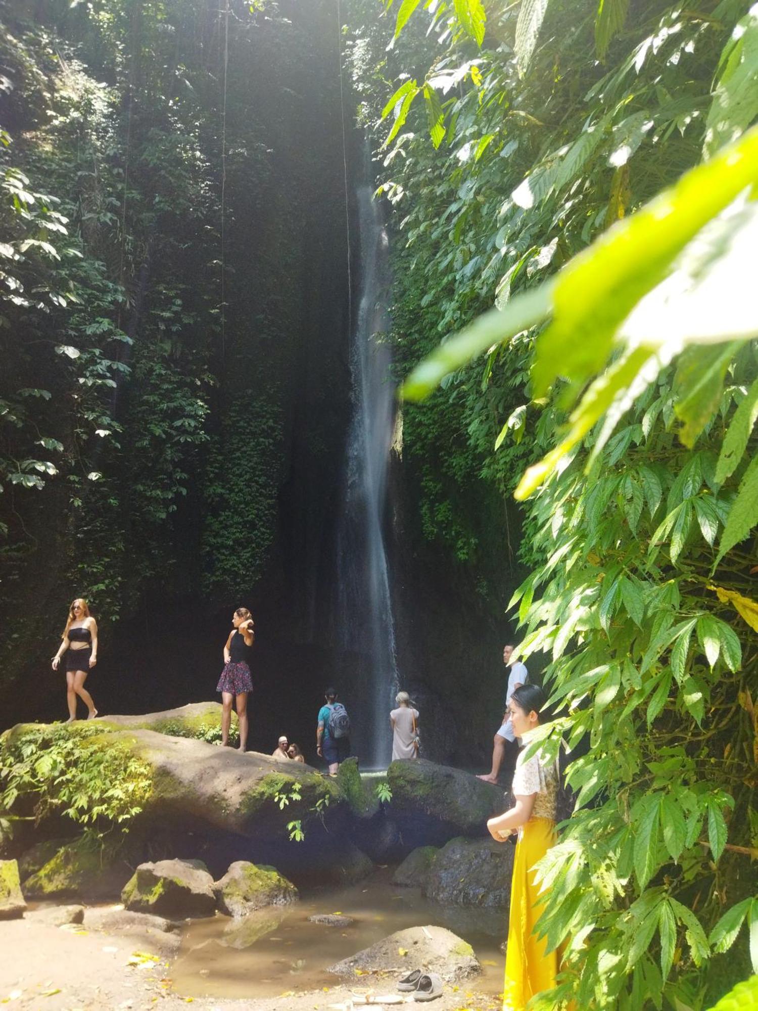 Hotel Wahwik'S House Ubud Zewnętrze zdjęcie
