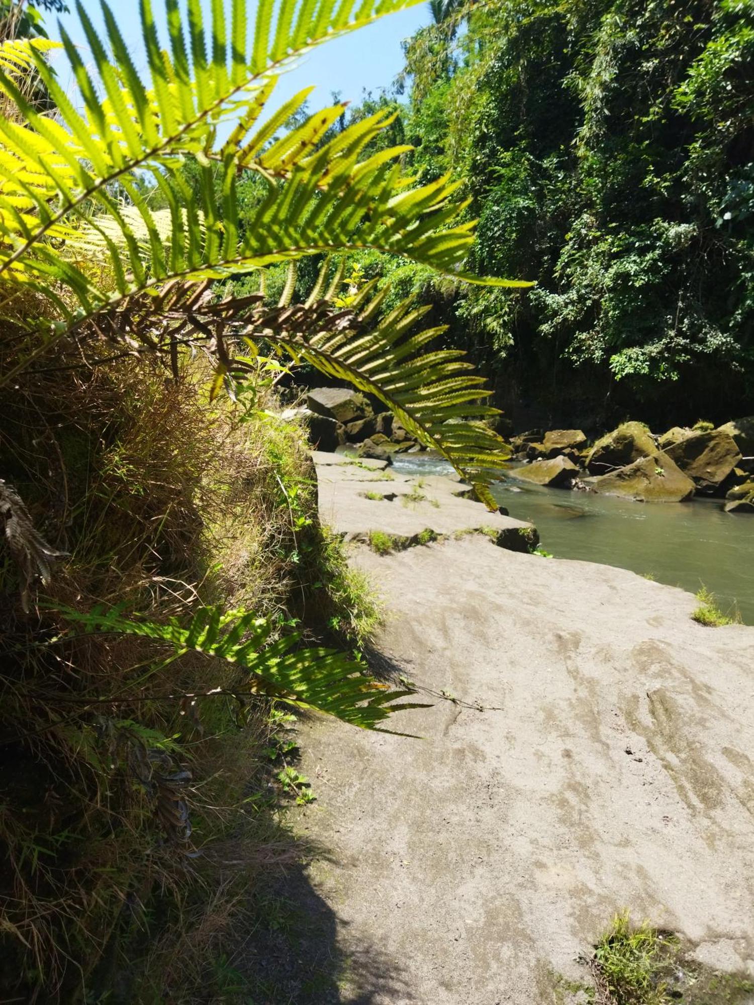 Hotel Wahwik'S House Ubud Zewnętrze zdjęcie