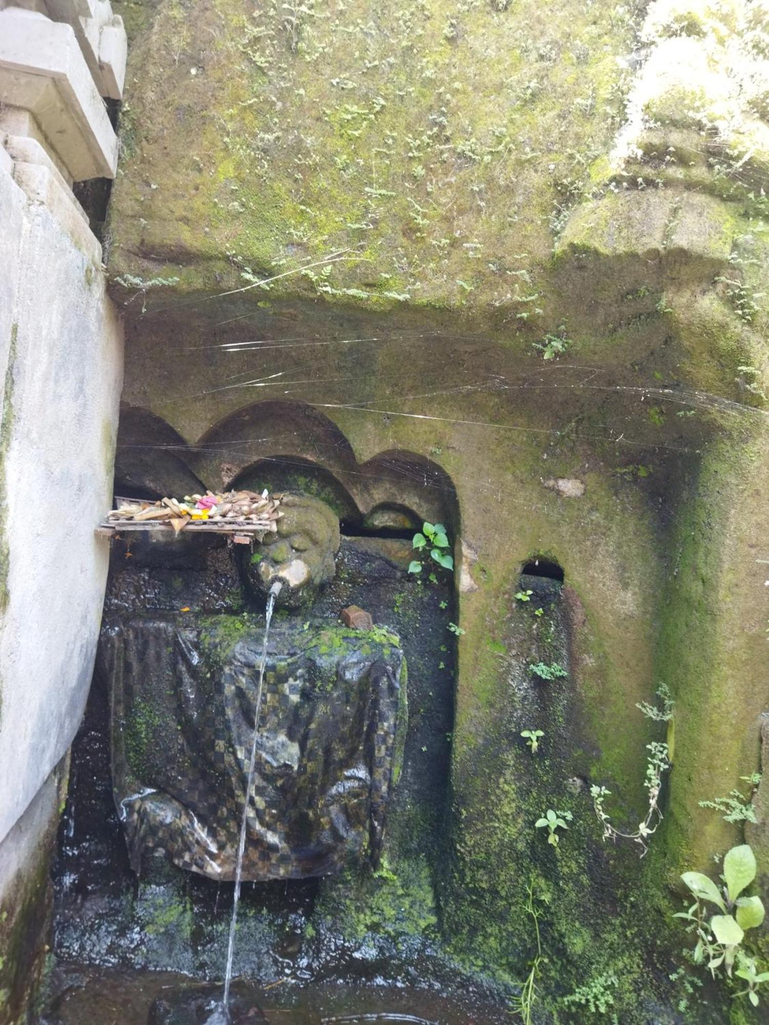 Hotel Wahwik'S House Ubud Zewnętrze zdjęcie
