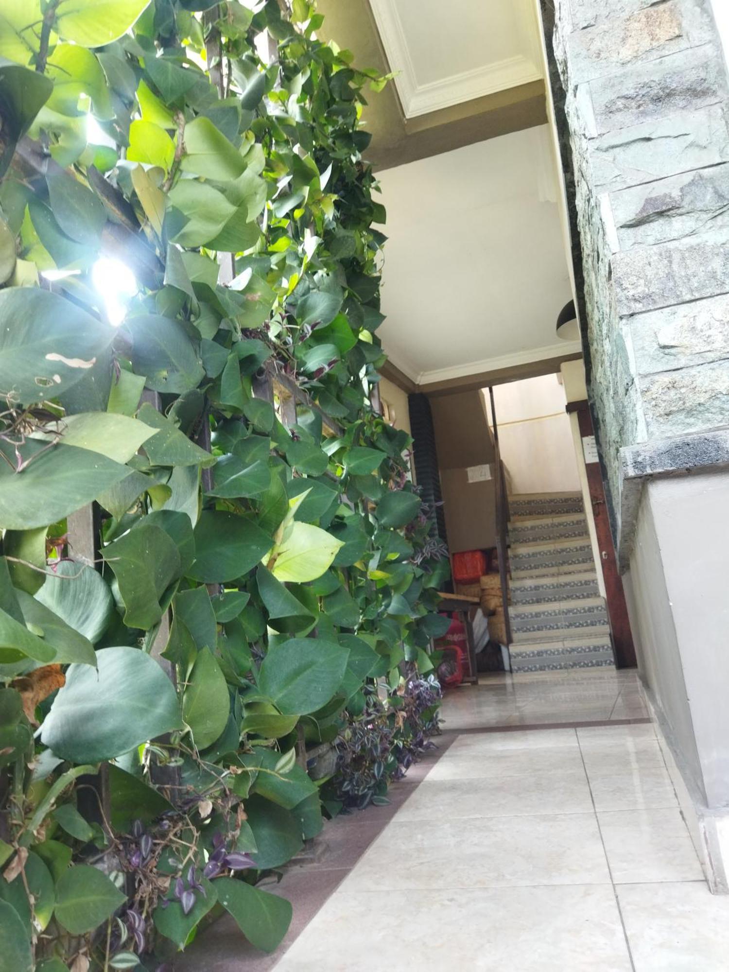 Hotel Wahwik'S House Ubud Zewnętrze zdjęcie