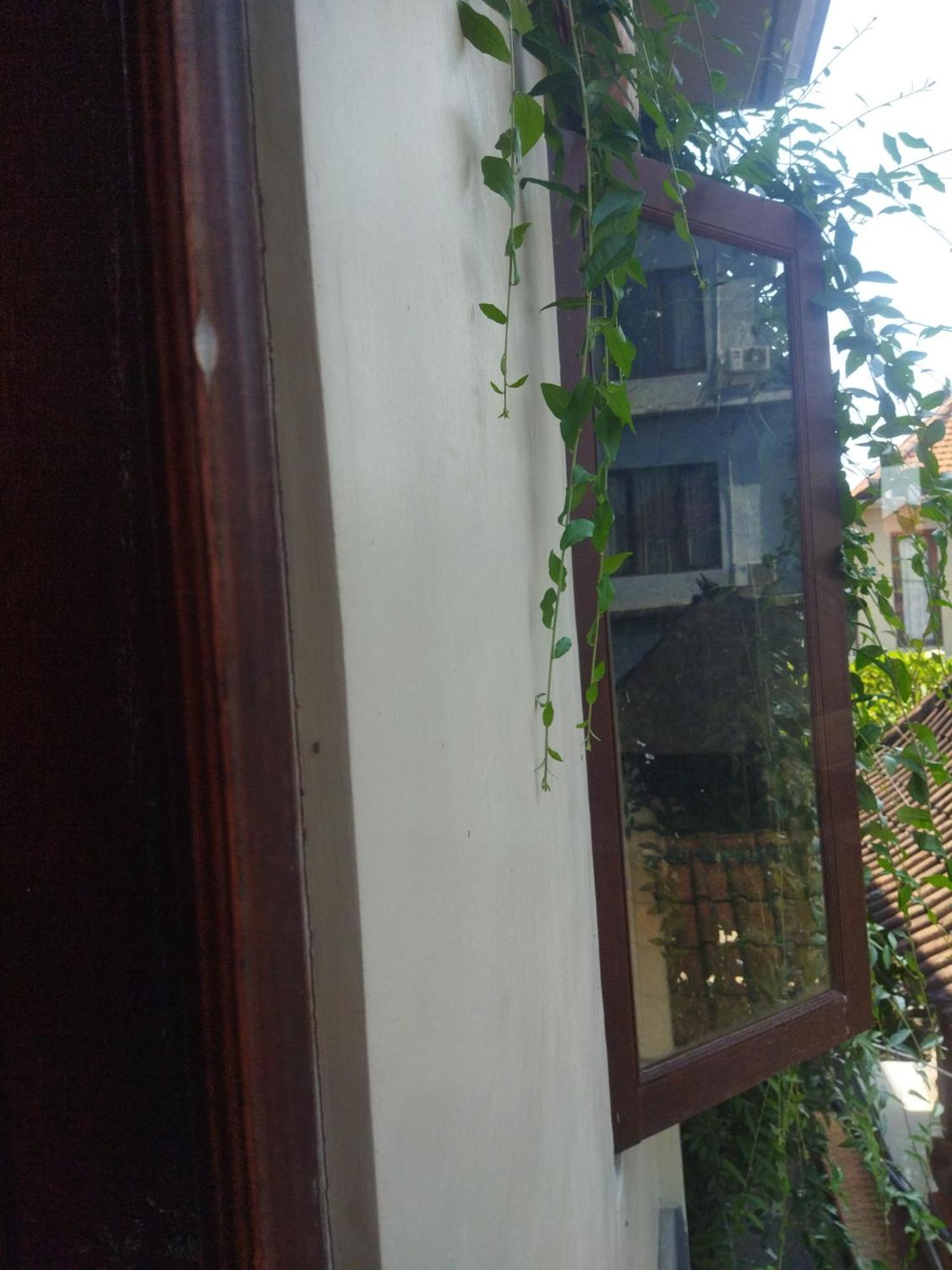 Hotel Wahwik'S House Ubud Zewnętrze zdjęcie