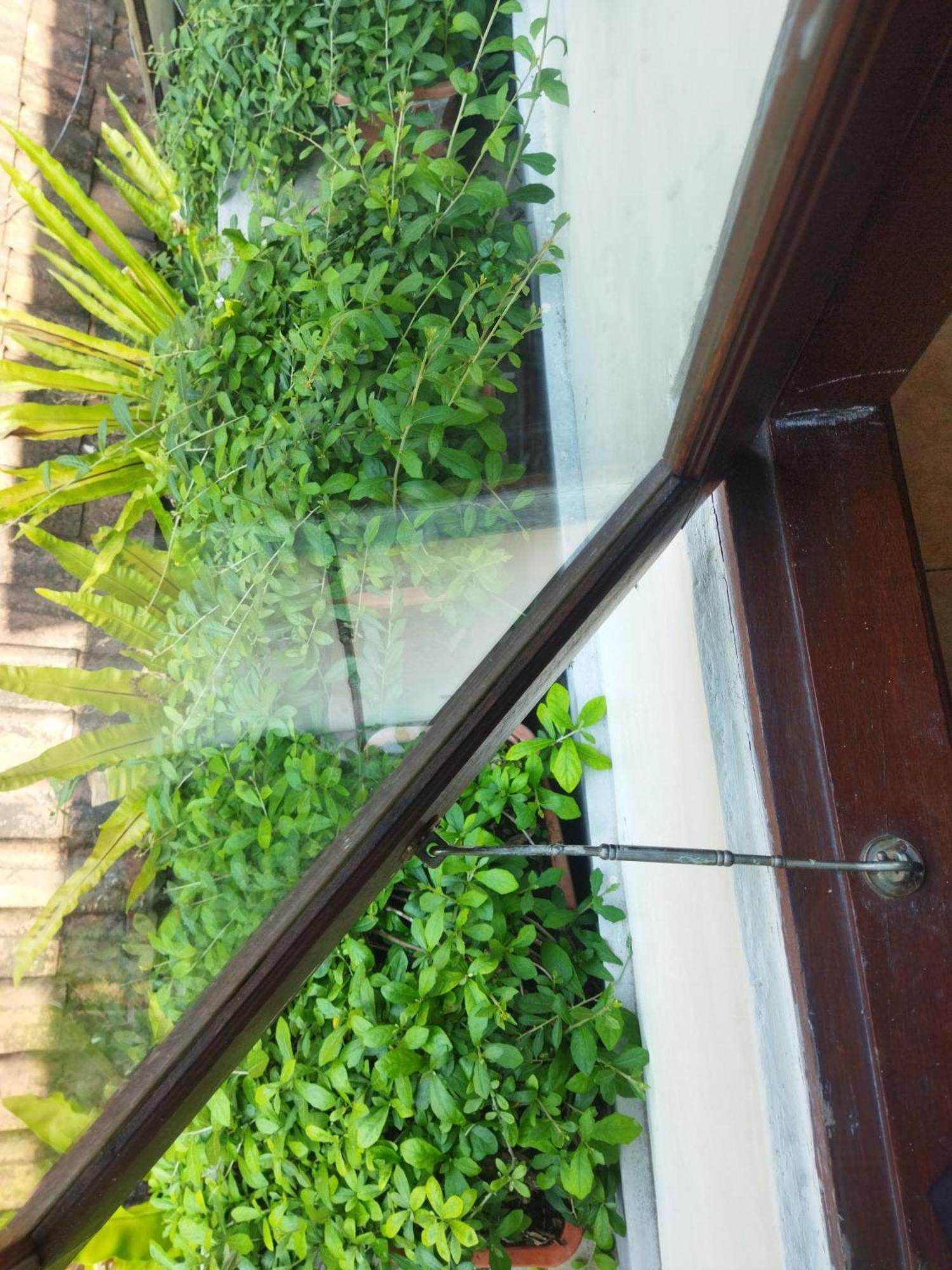 Hotel Wahwik'S House Ubud Zewnętrze zdjęcie