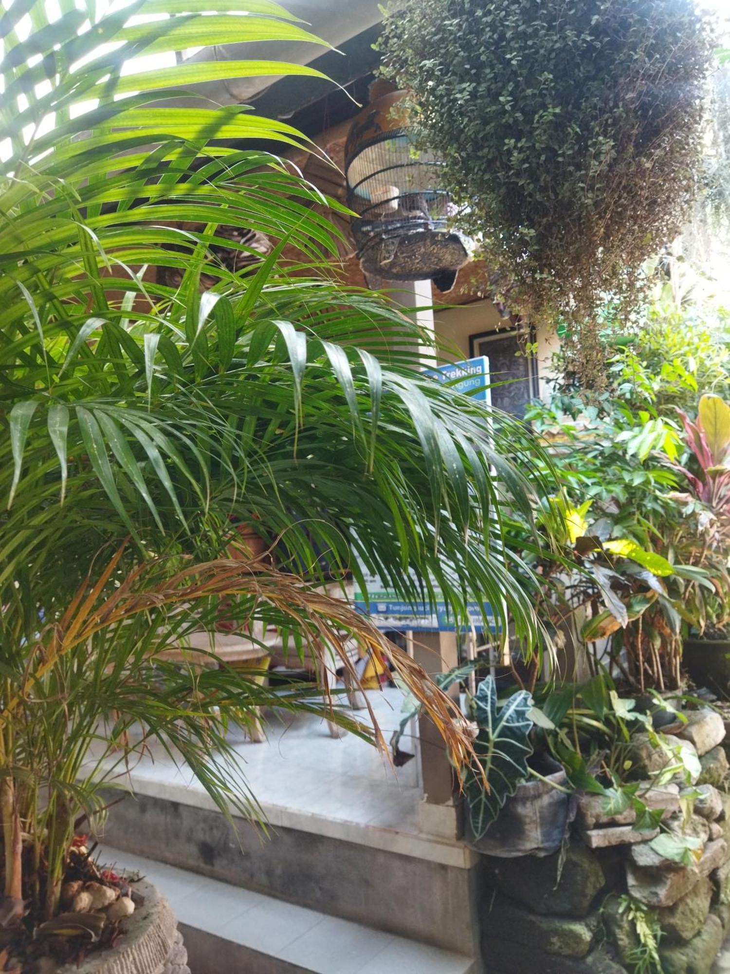 Hotel Wahwik'S House Ubud Zewnętrze zdjęcie