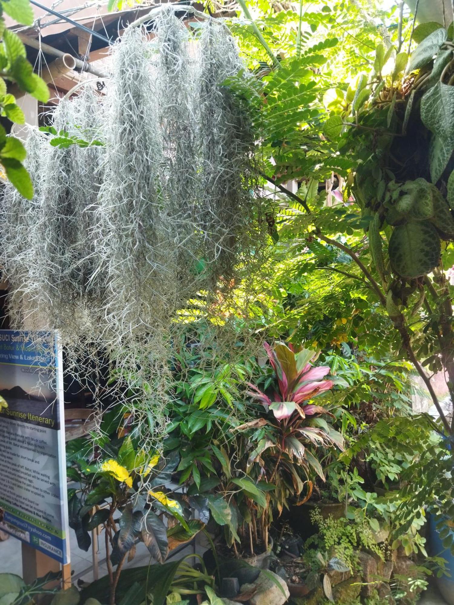 Hotel Wahwik'S House Ubud Zewnętrze zdjęcie