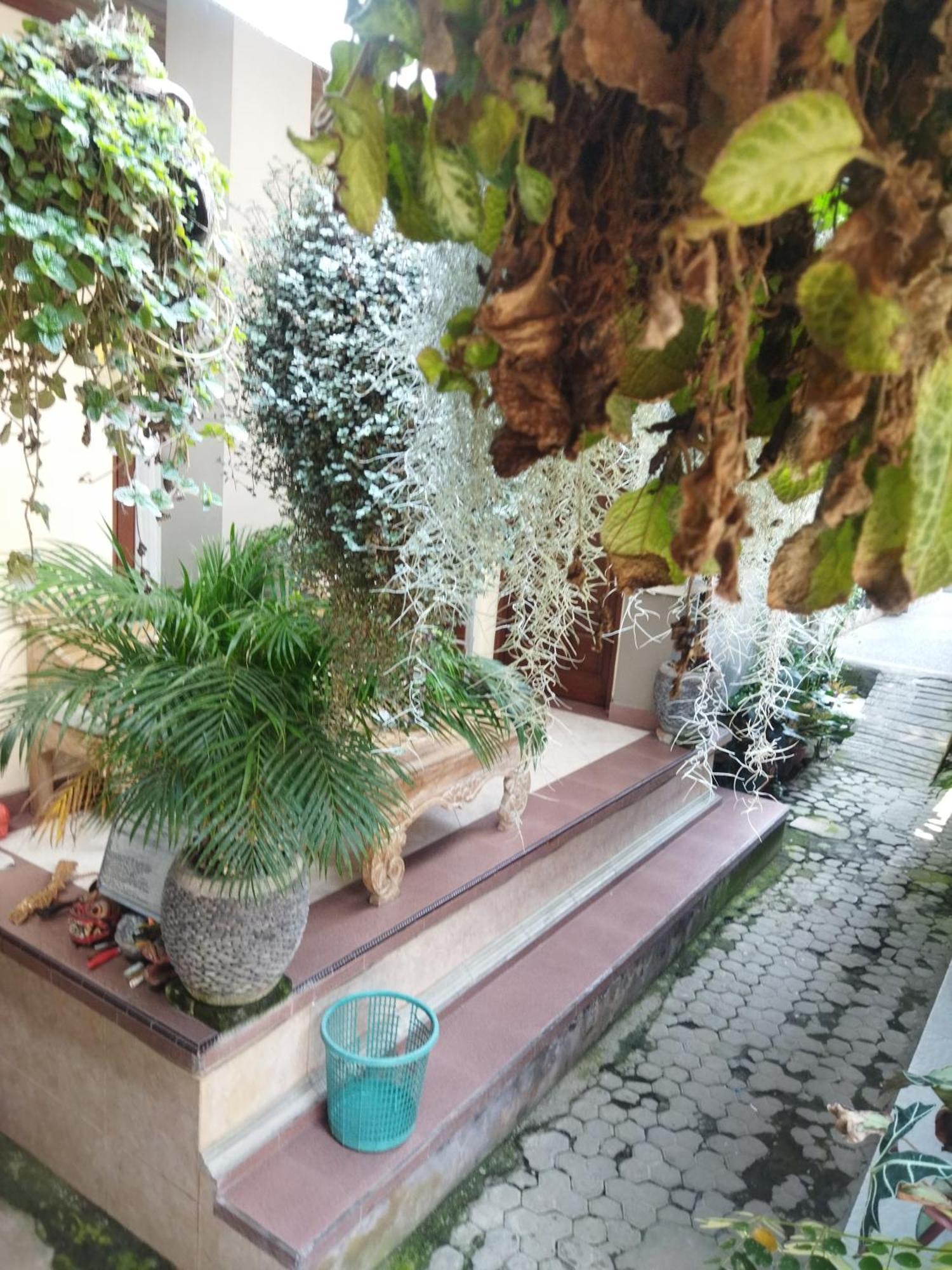 Hotel Wahwik'S House Ubud Zewnętrze zdjęcie