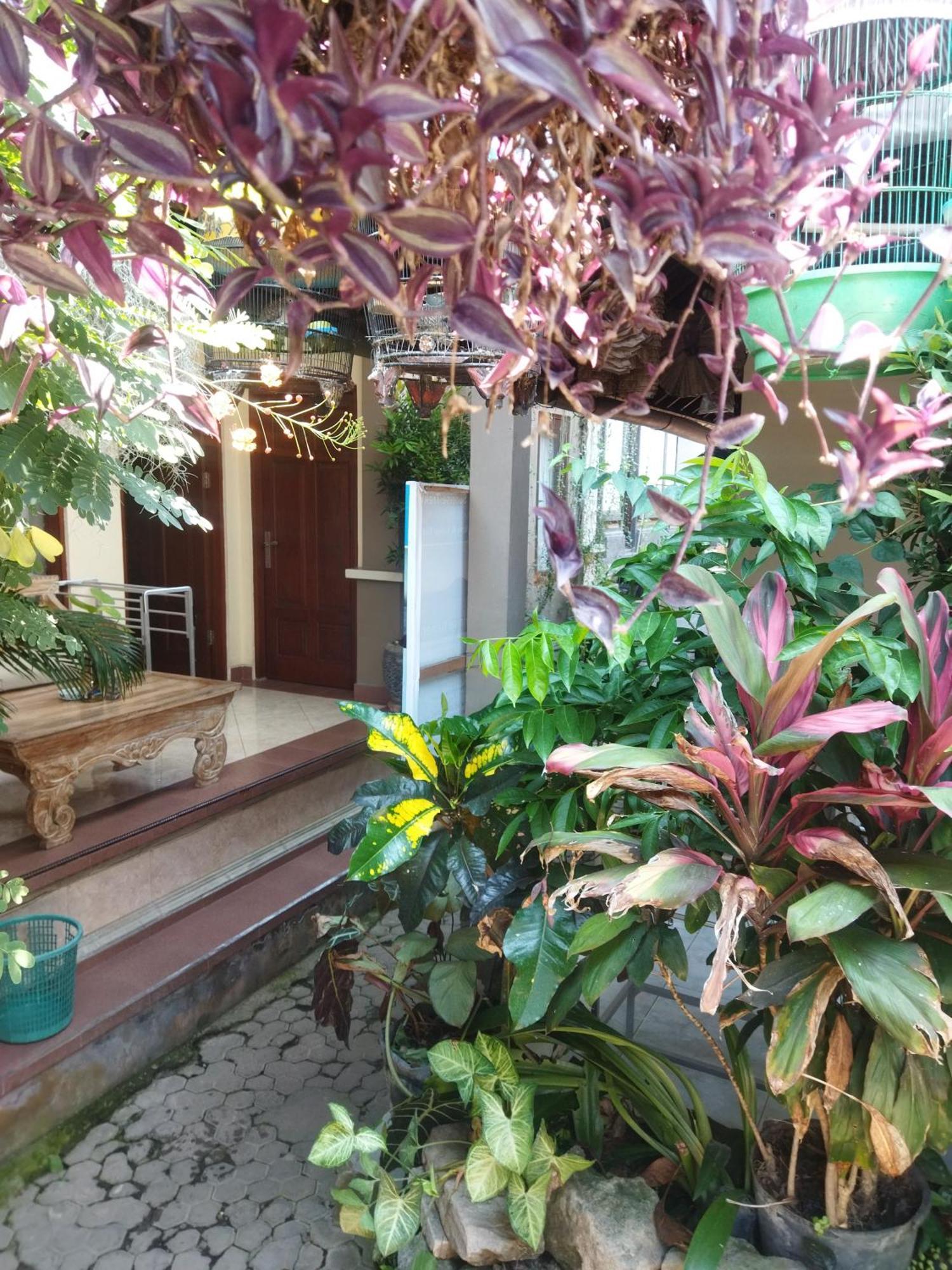 Hotel Wahwik'S House Ubud Zewnętrze zdjęcie