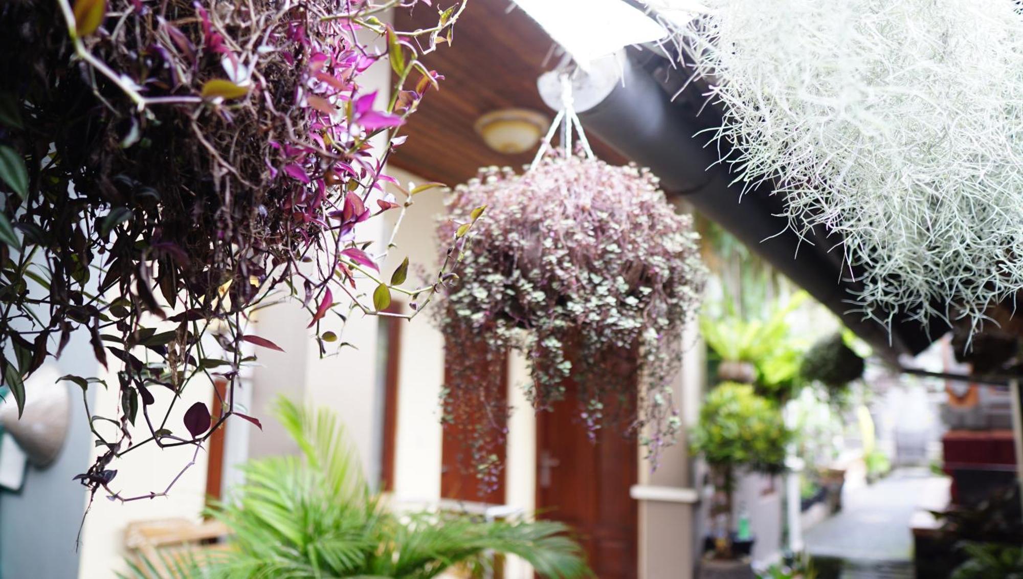 Hotel Wahwik'S House Ubud Zewnętrze zdjęcie